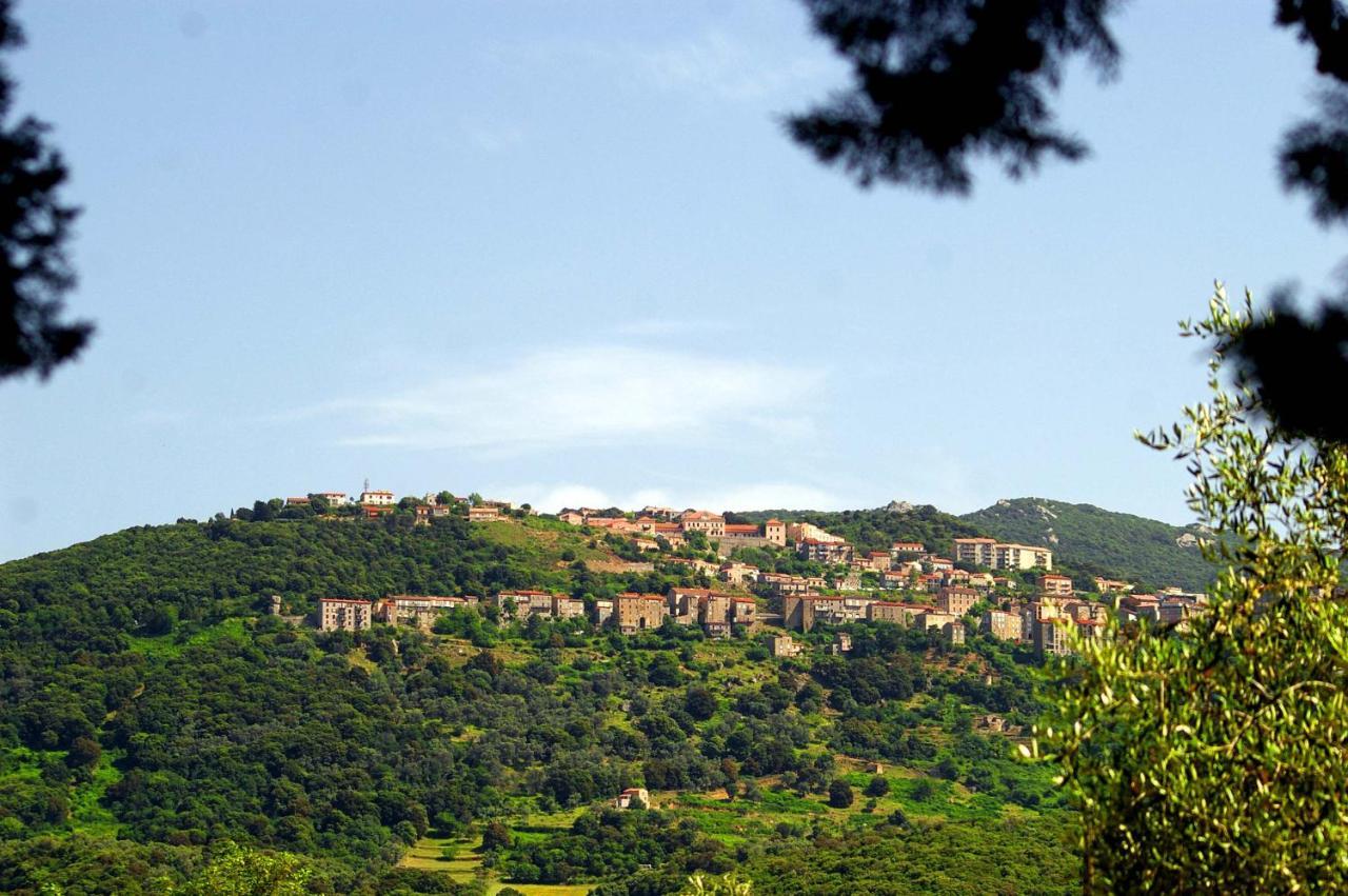 Casa Erbaggio Apartamento Sartène