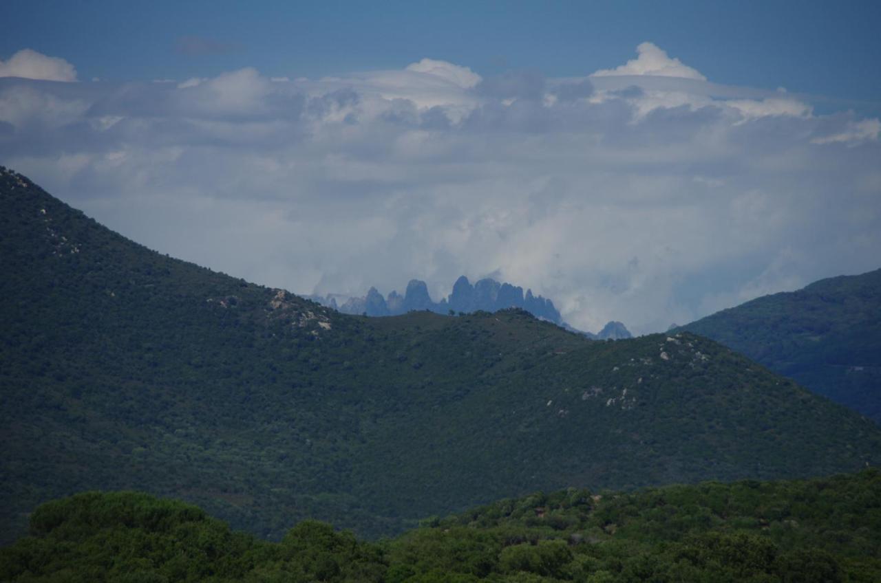 Casa Erbaggio Apartment Sartene (Corsica)