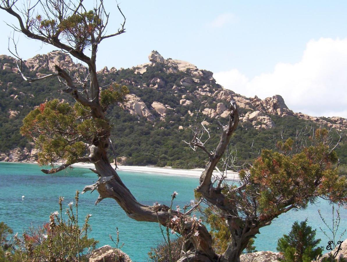 Casa Erbaggio * Sartene (Corsica)